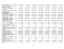 Analiza financiară a firmei - Pagina 4