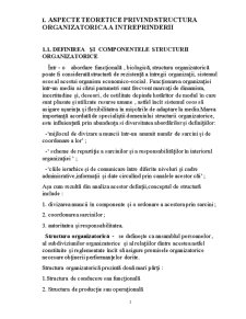 Structura organizatorică a întreprinderii - Pagina 3