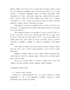 Studiu de Fezabilitate - SC Dante Interantional SRL - Pagina 3