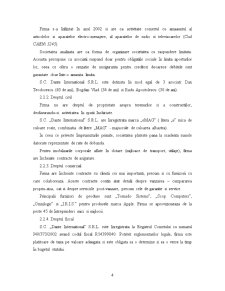 Studiu de Fezabilitate - SC Dante Interantional SRL - Pagina 4