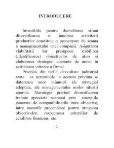 Eficiența economică a investiției - diversificarea activității - Pagina 1