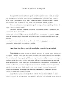 Structuri de Exploatare în Antrepriză - Pagina 2