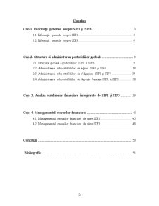 Analiza structurii portofoliilor pentru societățile de investiții financiare - comparație SIF1 și SIF2 - Pagina 2