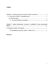 Plăți și finanțări internaționale - Fabrica de Mobilă Libertatea Cluj Napoca - Pagina 2