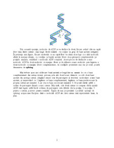 Calcul ADN - Pagina 2
