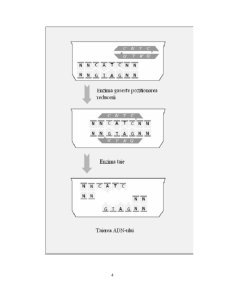 Calcul ADN - Pagina 4