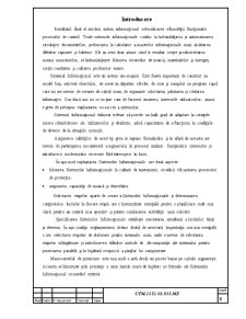 Sistem de Informare - Pagina 4