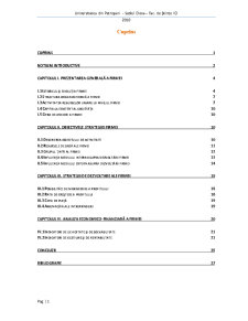 Indicatori Economici, Resurse Umane, Strategii de Dezvoltare - Pagina 1