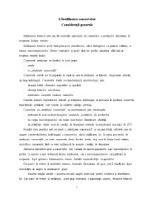 Utilaje - sterilizarea conservelor de gulaș - Pagina 1