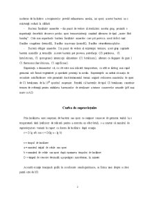 Utilaje - sterilizarea conservelor de gulaș - Pagina 2