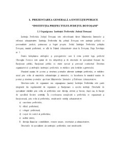 Fundamentarea strategiilor de personal în cadrul entității publice - Instituția Prefectului Județul Botoșani - Pagina 3