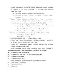Fundamentarea strategiilor de personal în cadrul entității publice - Instituția Prefectului Județul Botoșani - Pagina 4
