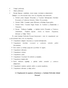 Fundamentarea strategiilor de personal în cadrul entității publice - Instituția Prefectului Județul Botoșani - Pagina 5