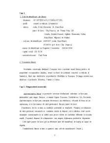 Evaluarea SC Interpaul Company SRL - Pagina 3