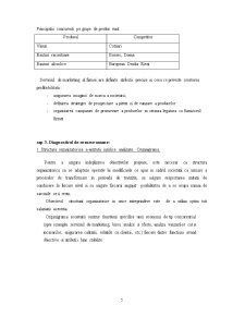 Evaluarea SC Interpaul Company SRL - Pagina 5