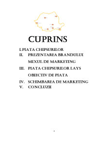 Comportamentul consumatorului - Chipsuri Lays - Pagina 2