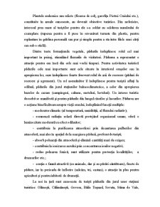 Regiuni Turistice pe Glob - Pagina 29
