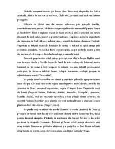 Regiuni Turistice pe Glob - Pagina 33