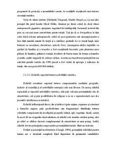 Regiuni Turistice pe Glob - Pagina 166