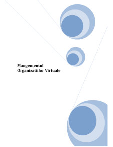 Mangementul organizațiilor virtuale - Pagina 1