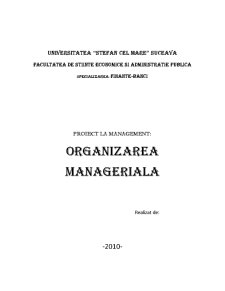 Organizarea managerială - Pagina 1