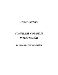 Audit Intern - Pagina 1