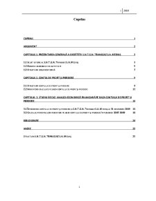 Analiza economico-financiară pe baza contului de profit și pierdere la SNTGN Transgaz SA Mediaș - Pagina 1