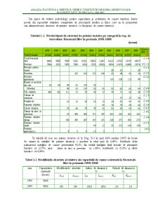 Analiza Statistică a Ofertei și Cererii Turistice în Regiunea de Dezvoltare București Ilfov în Perioada 1998-2007 - Pagina 4