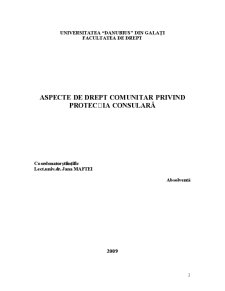 Aspecte de Drept Comunitar privind Protecția Consulară - Pagina 2