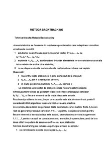 Metoda backtracking - Pagina 2