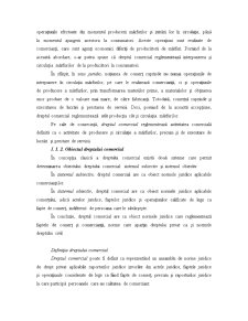 Noțiuni introductive privind dreptul afacerilor (comercial) - Pagina 2