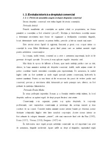 Noțiuni introductive privind dreptul afacerilor (comercial) - Pagina 3
