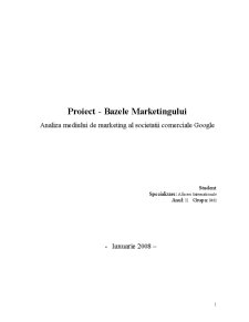 Bazele Marketingului - Analiza Mediului de Marketing asupra Companiei Google - Pagina 1
