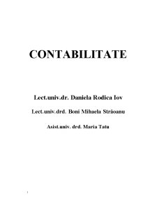 Contabilitate - Pagina 1