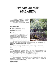 Brand de țară - Malaezia - Pagina 1