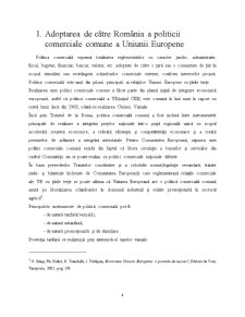 Politica Comerciala a Romaniei in Conextul Aderarii la UE - Pagina 4