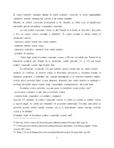Politica Comerciala a Romaniei in Conextul Aderarii la UE - Pagina 5