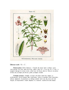 Tehnologia producerii și procesării plantelor medicinale și aromatice - Pagina 4