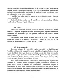 Forța de muncă din agricultură a județului Timiș - Pagina 4