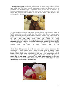 Tipuri de brânzeturi - Pagina 4