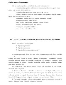 Contabilitatea de Gestiunea a Societatii AEROSTAR SA Bacau - Pagina 4