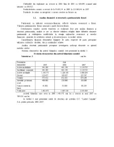 Analiza diagnostic SC Lanțul Carpatin SA - Pagina 4