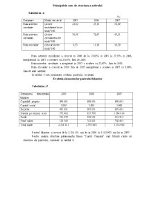 Analiza diagnostic SC Lanțul Carpatin SA - Pagina 5