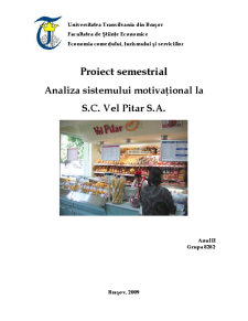 Analiza Sistemului Motivațional la SC Vel Pitar SA - Pagina 1