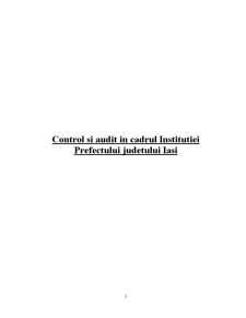 Control și audit în Prefectura Iași - Pagina 2