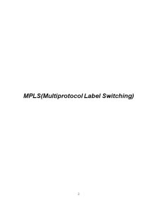 MPLS - Multiprotocol Label Switching - Pagina 2