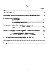 Contabilitatea Cheltuielilor, Veniturilor și Rezultatelor în Unitatea SC Nicolzoe Impex SRL - Pagina 2