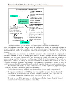 Contaminarea Produselor Alimentare cu Micotoxine - Pagina 3