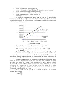 Studiul General al Costurilor - Pagina 4