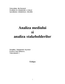 Analiza Mediului și Analiza Stakeholderilor - Pagina 1